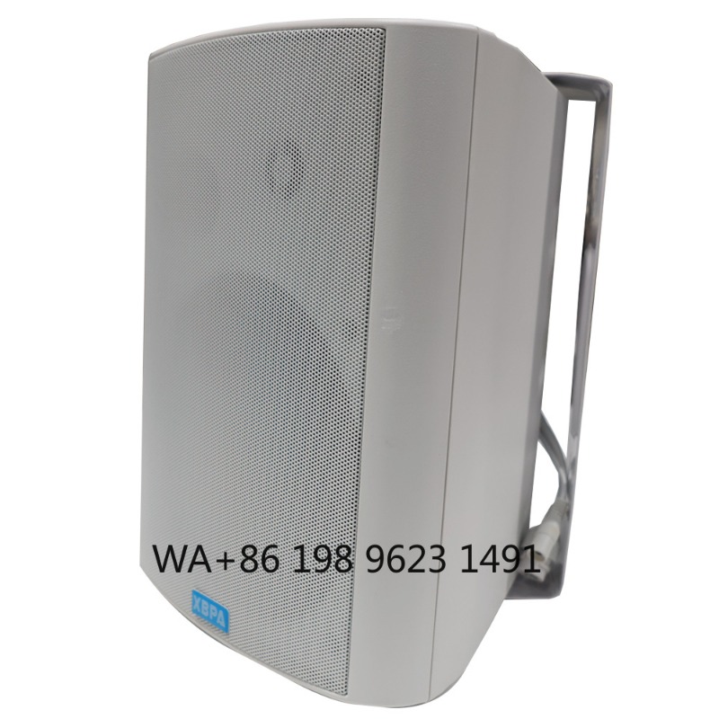Home Theater Speaker - 5.1 Wireless WiFi Wall Ceiling Speaker
