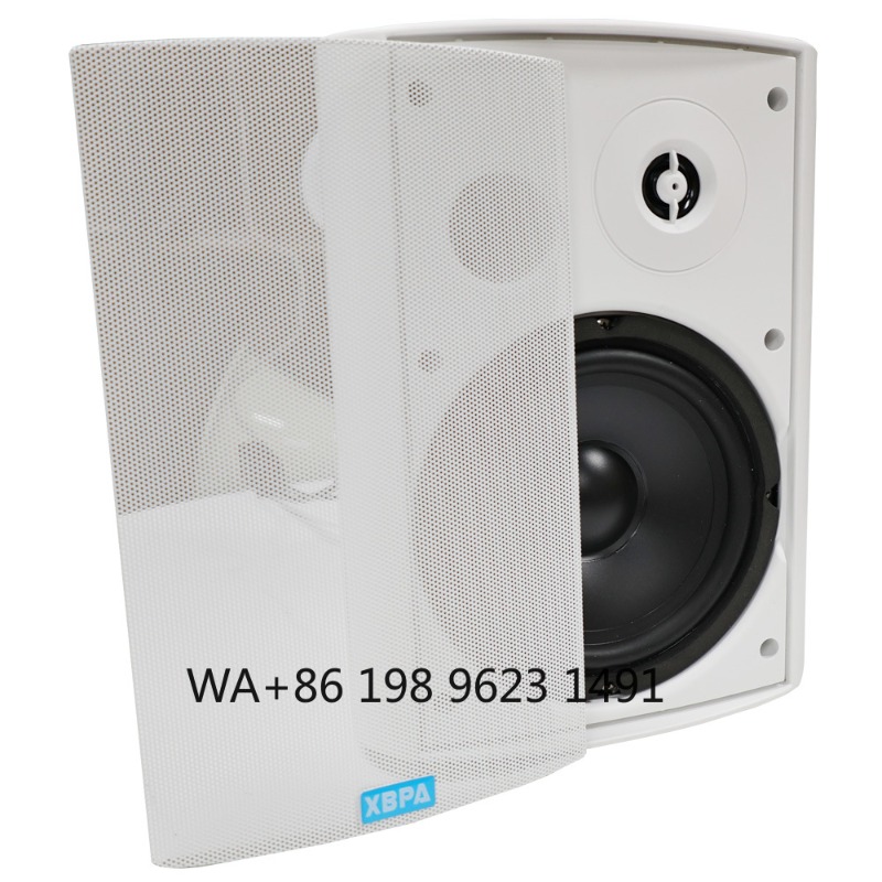 5.1 Wireless WiFi Wall Ceiling - Home Theater Speaker ulasan dan harga