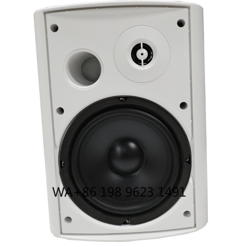 5.1 Wireless WiFi Wall Ceiling - Home Theater Speaker ulasan dan harga