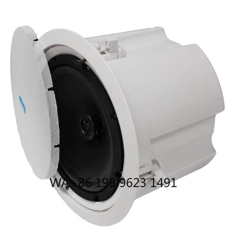 5.1 Wireless WiFi Wall Ceiling - Home Theater Speaker ulasan dan harga
