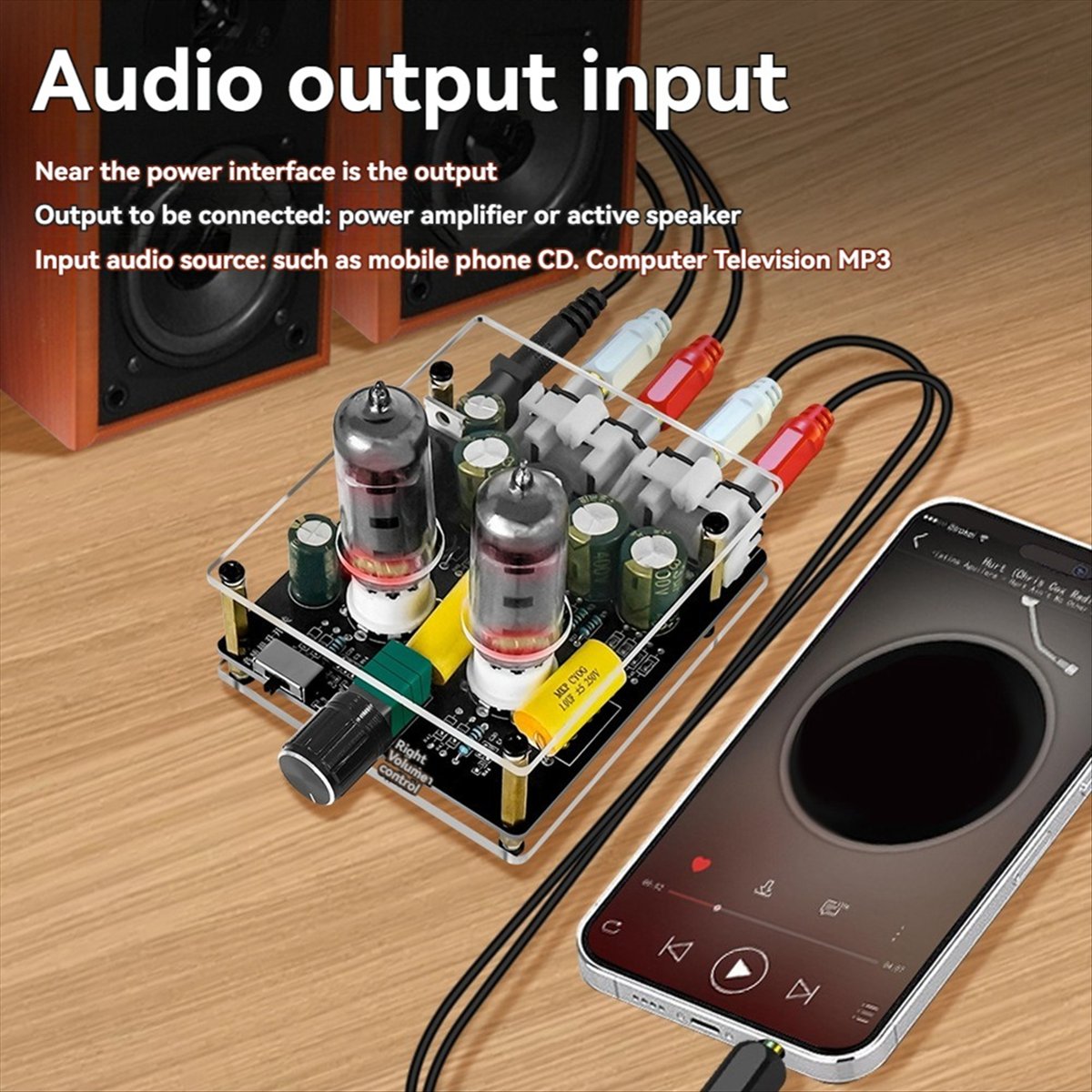 828 Audio Amplifier 6j3 Vacuum - Home Theater Speaker ulasan dan harga